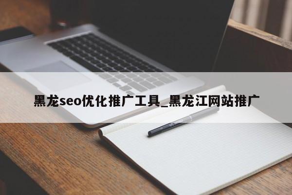 黑龙seo优化推广工具_黑龙江网站推广