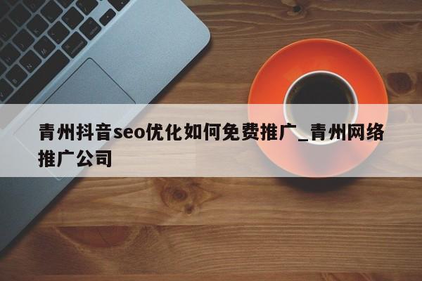 青州抖音seo优化如何免费推广_青州网络推广公司